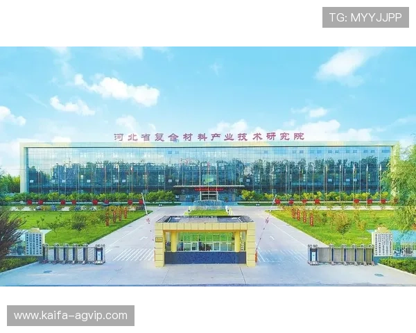 凯发k8官方旗舰厅技术支持与安全保障体系，确保平台稳定运行与信息安全