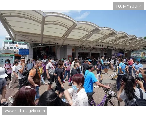 新手必读K8凯发官网app注册流程与账号安全保护措施 新手必读K8凯发官网app注册流程与账号安全保护措施